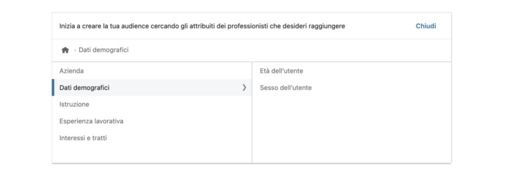 Linkedin-Dati demografici